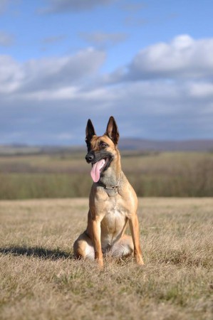 8. Ing Michaela Váňová a Uma Anubis the Second